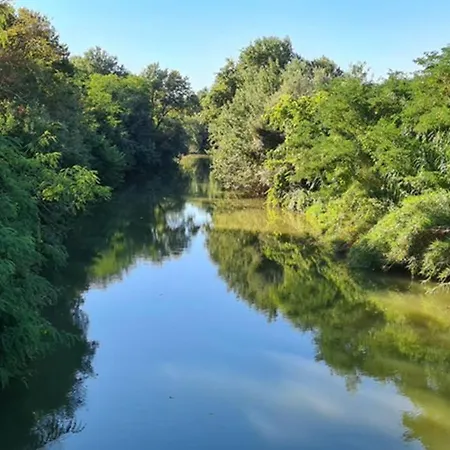 Diamond - Dans Vieux Prieure Pres De Carcassonne * Sainte-Eulalie (Aude)